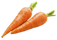 carotte.png